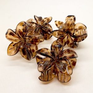 Pinza